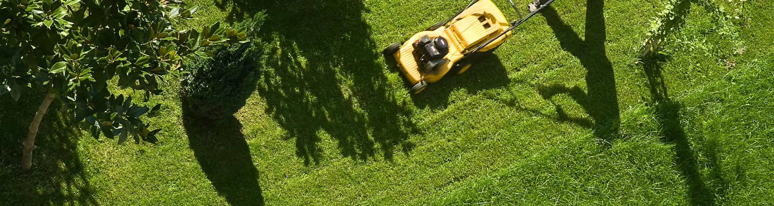 Lawnmower repair service in Hamilton